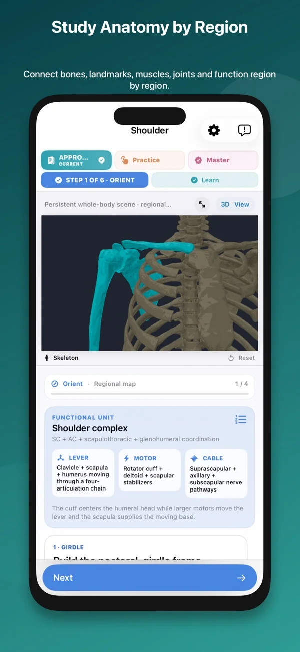 Musculoskeletal Anatomy Tutor — 2