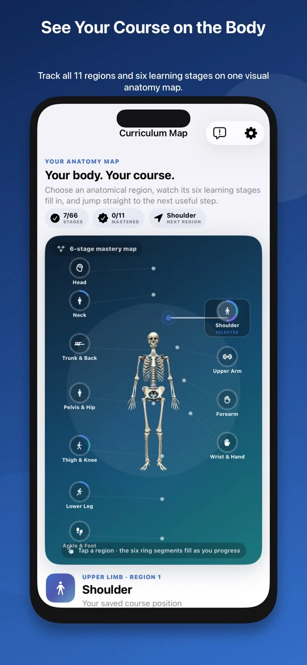 Musculoskeletal Anatomy Tutor — 3
